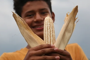 helping farmers thrive