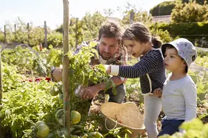 helping families grow their own food